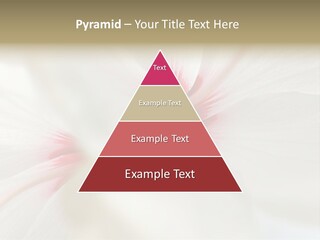 Switch Climate Industry PowerPoint Template