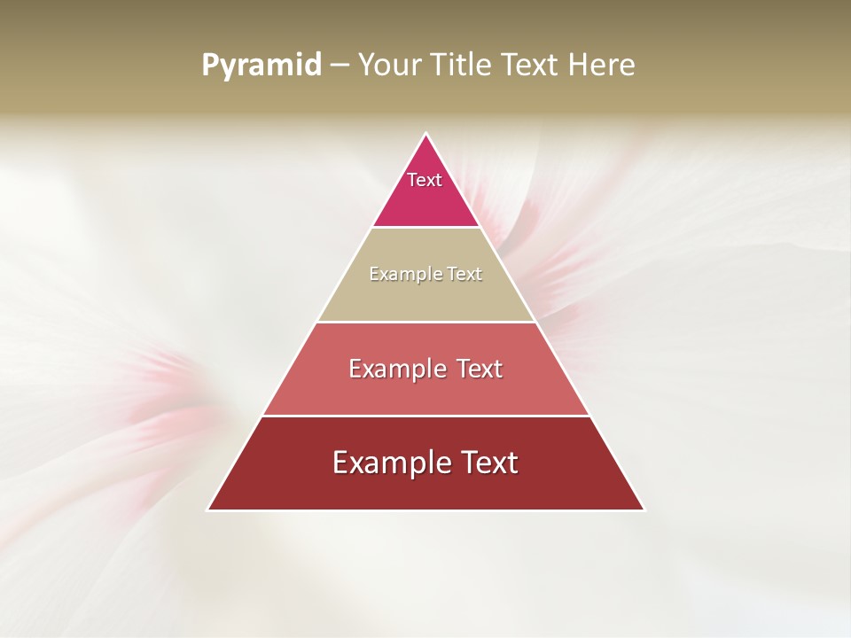 Switch Climate Industry PowerPoint Template