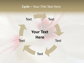 Switch Climate Industry PowerPoint Template
