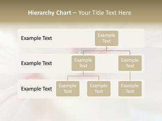 Switch Climate Industry PowerPoint Template