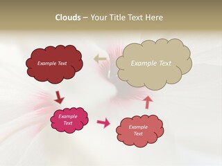 Switch Climate Industry PowerPoint Template