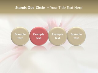 Switch Climate Industry PowerPoint Template