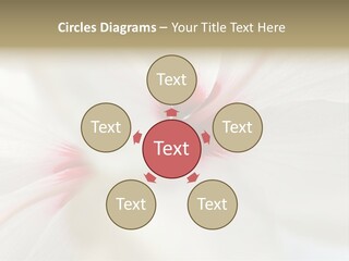 Switch Climate Industry PowerPoint Template