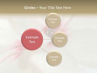 Switch Climate Industry PowerPoint Template