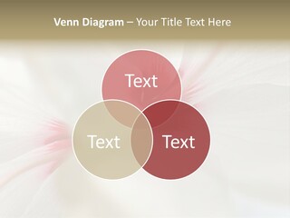Switch Climate Industry PowerPoint Template