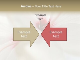 Switch Climate Industry PowerPoint Template