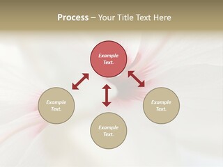 Switch Climate Industry PowerPoint Template