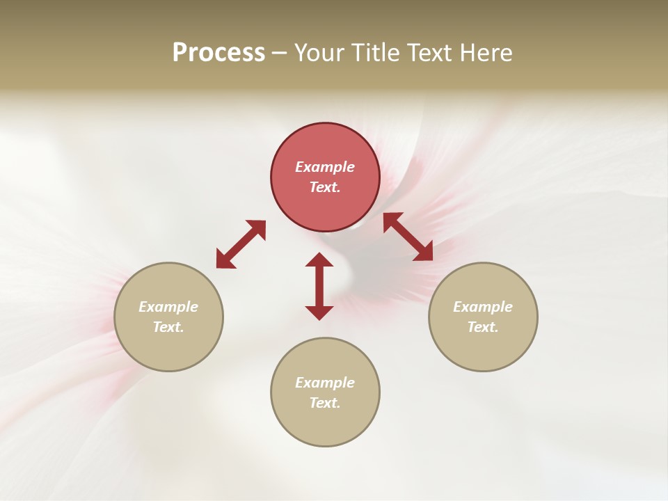 Switch Climate Industry PowerPoint Template