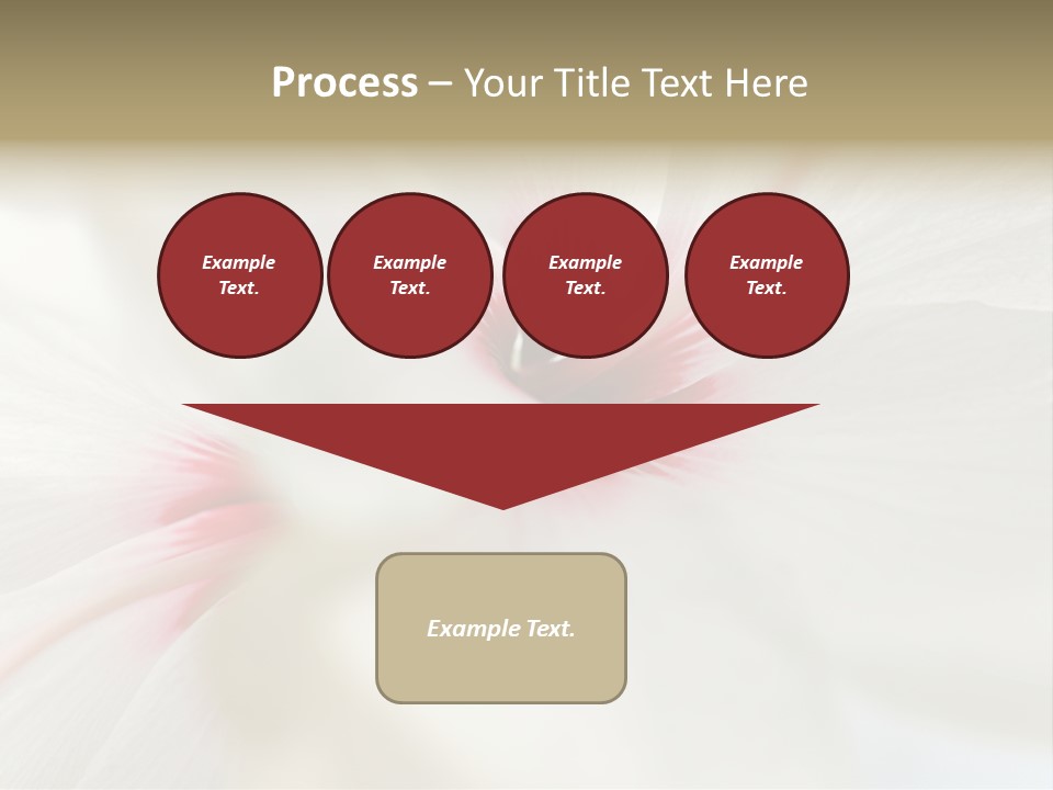 Switch Climate Industry PowerPoint Template
