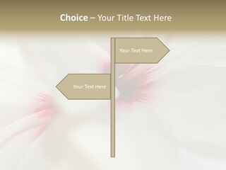 Switch Climate Industry PowerPoint Template