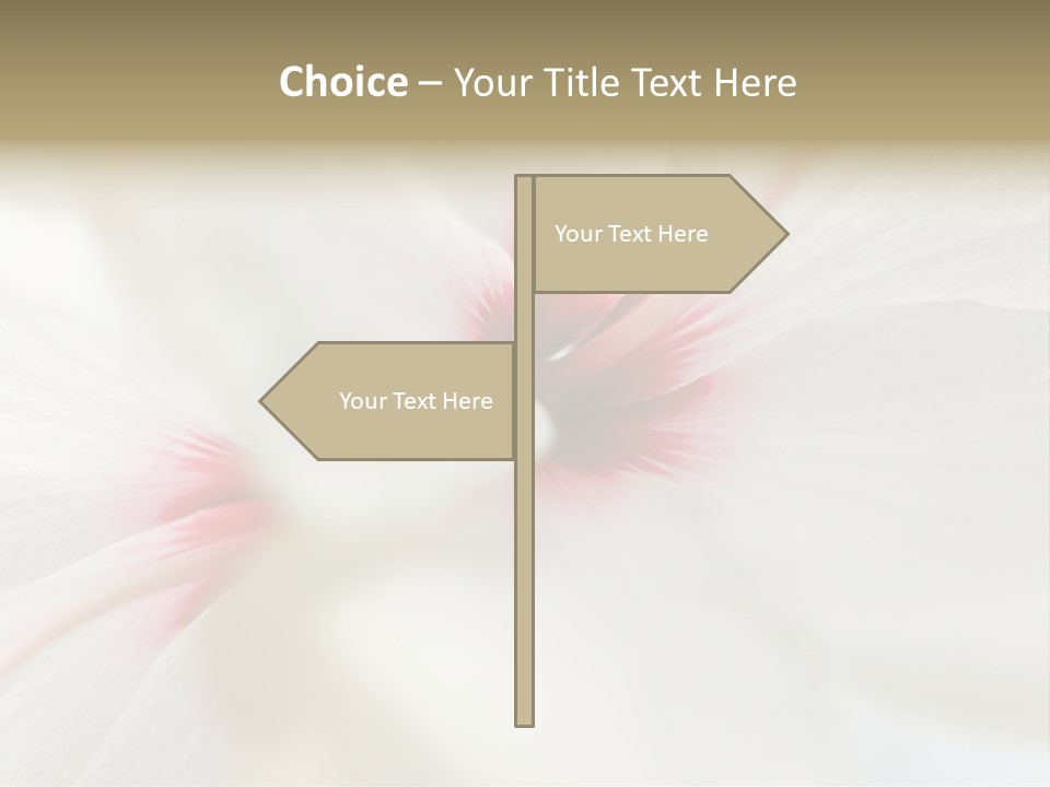 Switch Climate Industry PowerPoint Template