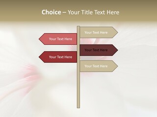 Switch Climate Industry PowerPoint Template