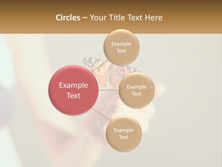 Technology Temperature House PowerPoint Template