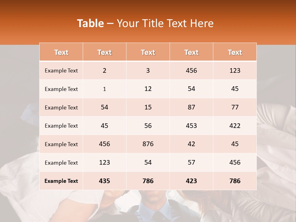 House White Switch PowerPoint Template