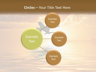 Cold Heat Supply PowerPoint Template