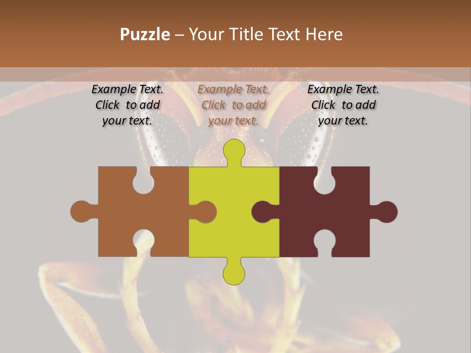 Cool Condition Home PowerPoint Template