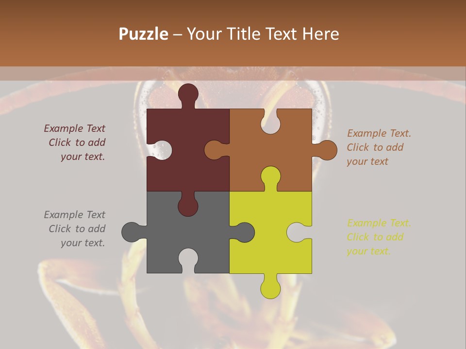 Cool Condition Home PowerPoint Template