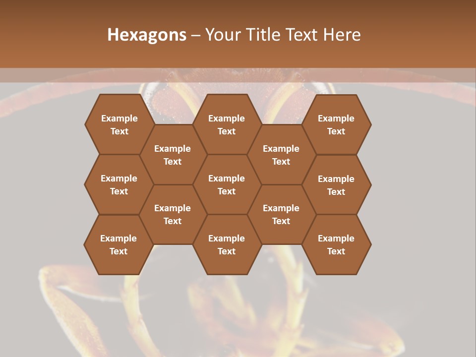 Cool Condition Home PowerPoint Template