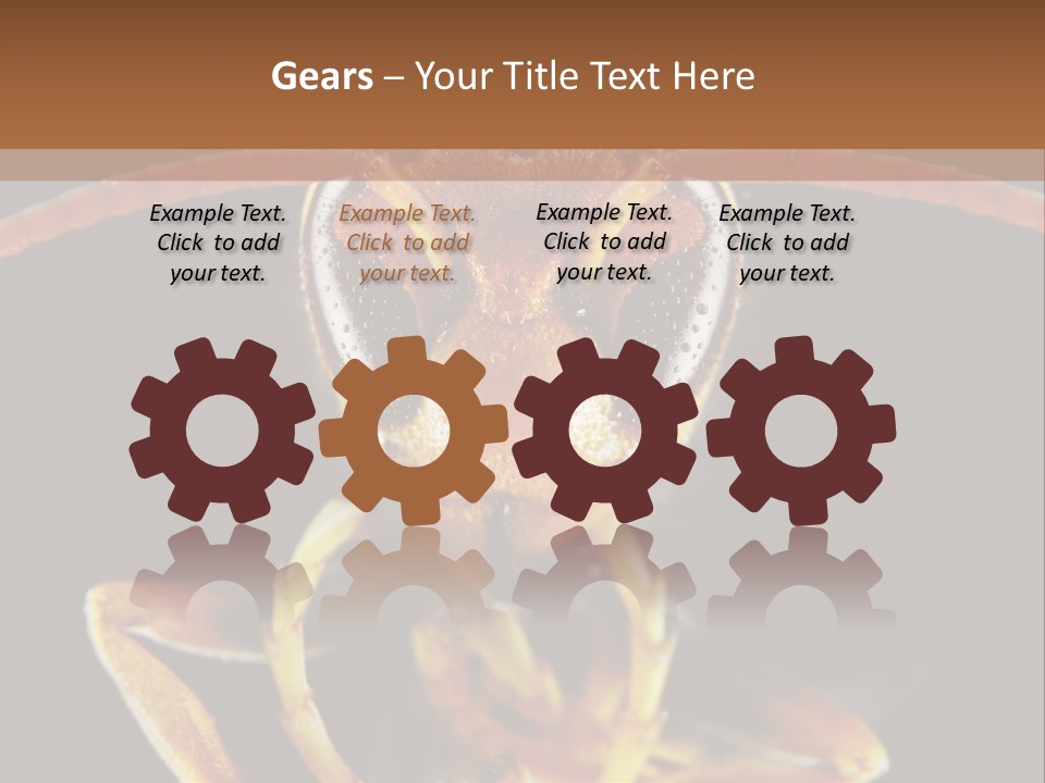 Cool Condition Home PowerPoint Template