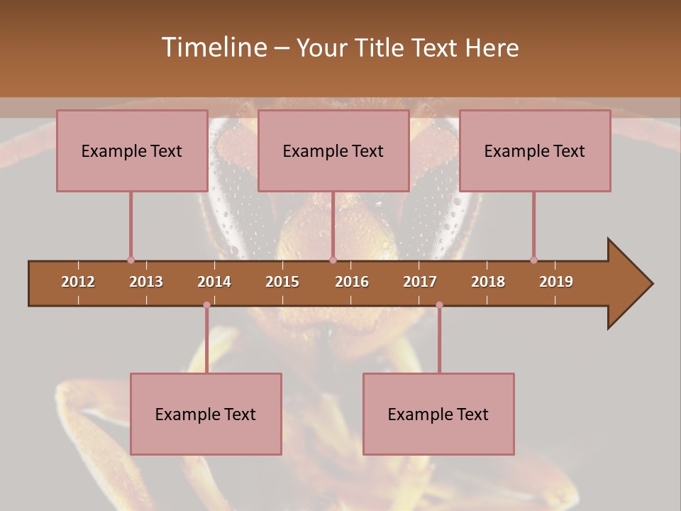 Cool Condition Home PowerPoint Template