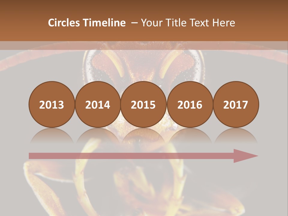 Cool Condition Home PowerPoint Template