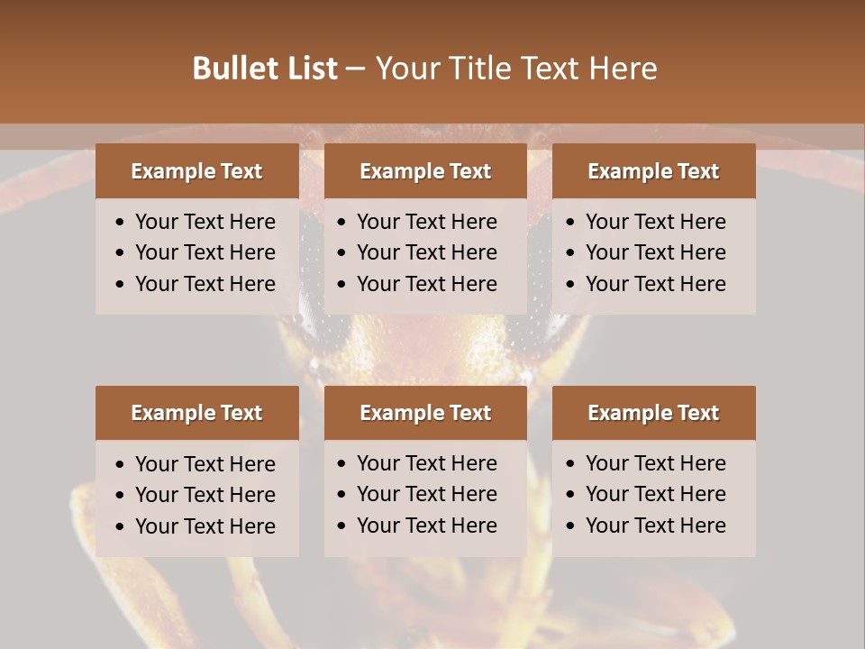 Cool Condition Home PowerPoint Template