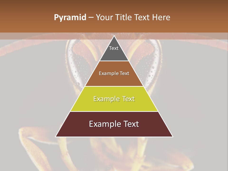 Cool Condition Home PowerPoint Template