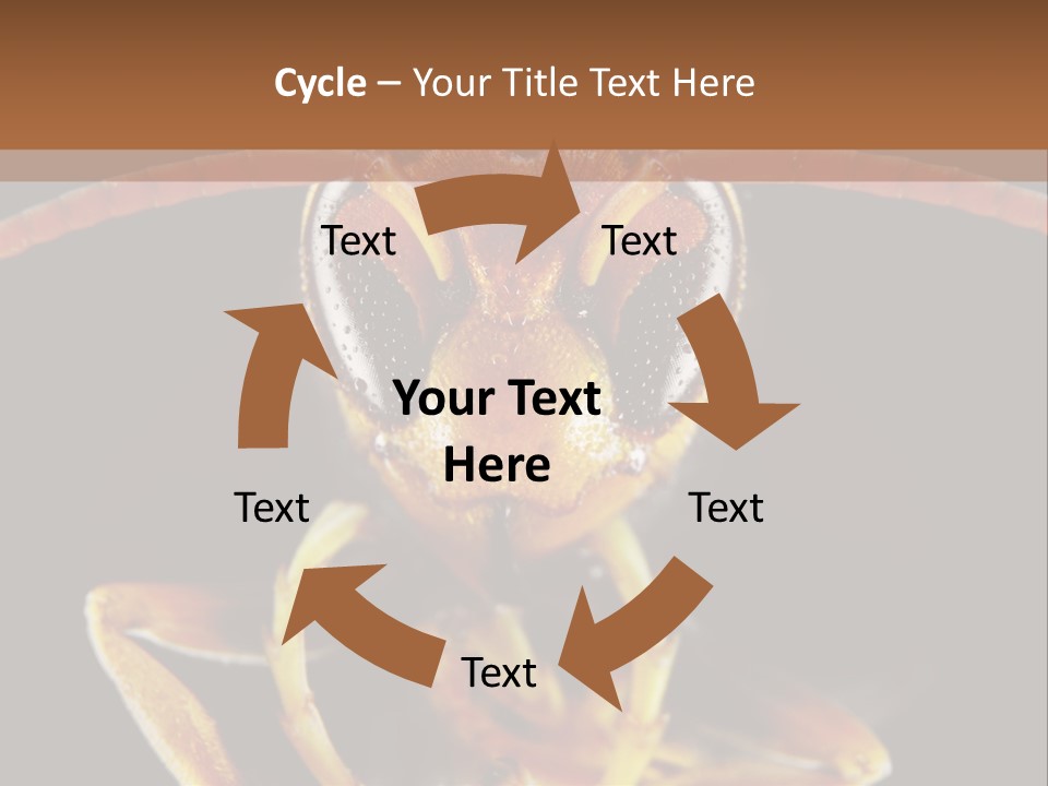 Cool Condition Home PowerPoint Template