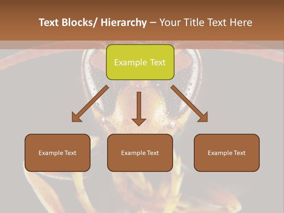Cool Condition Home PowerPoint Template