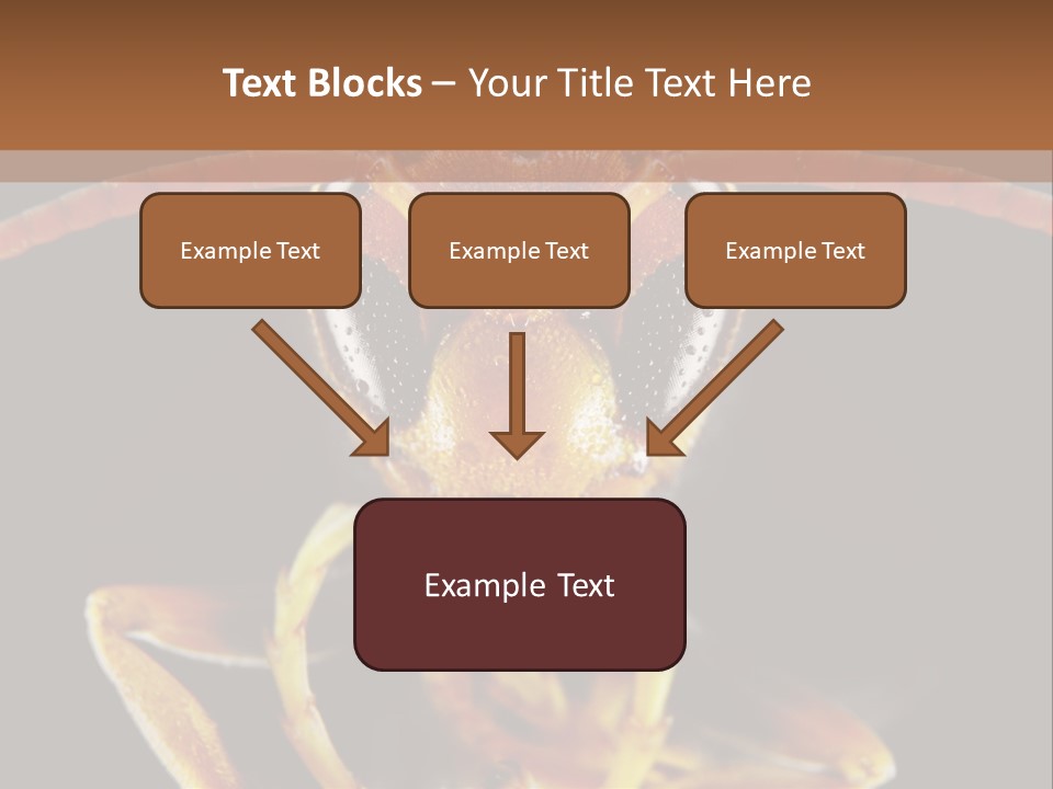 Cool Condition Home PowerPoint Template