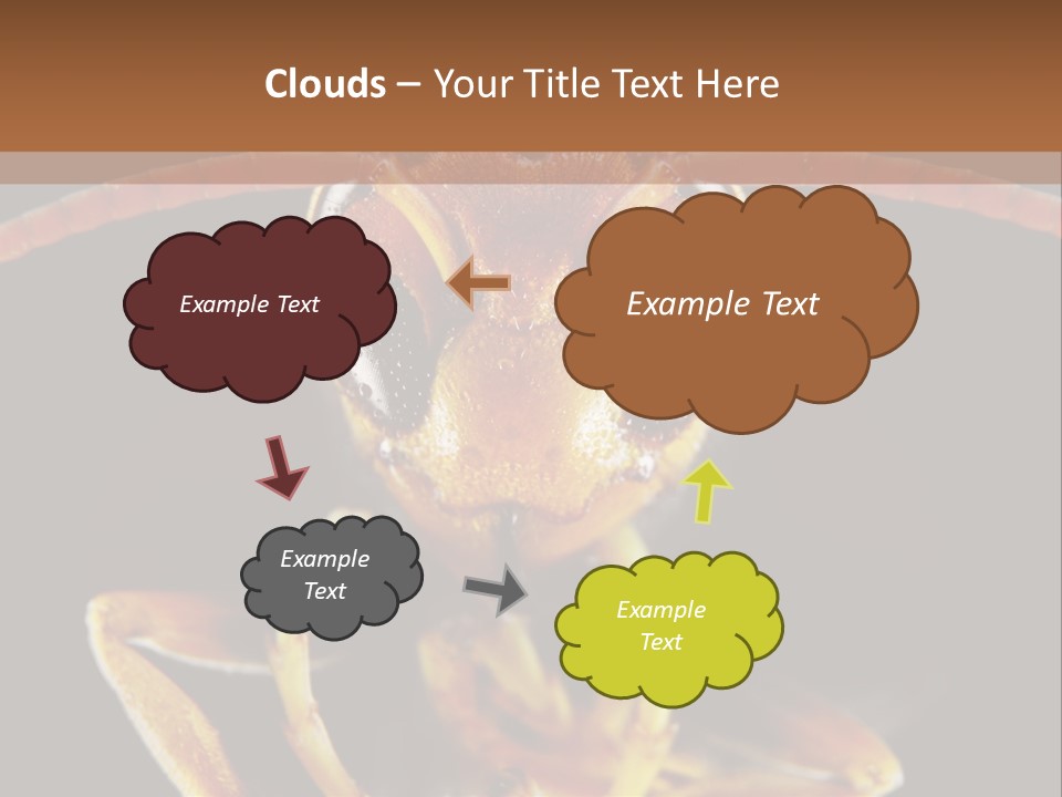 Cool Condition Home PowerPoint Template
