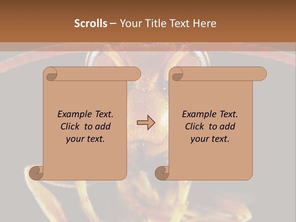 Cool Condition Home PowerPoint Template
