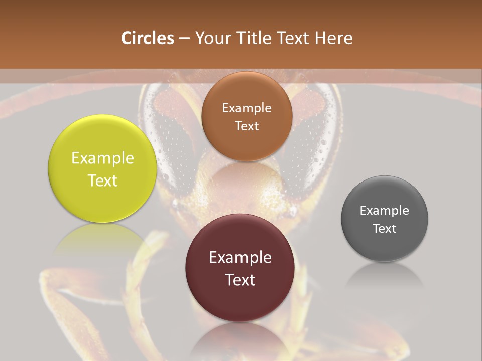 Cool Condition Home PowerPoint Template