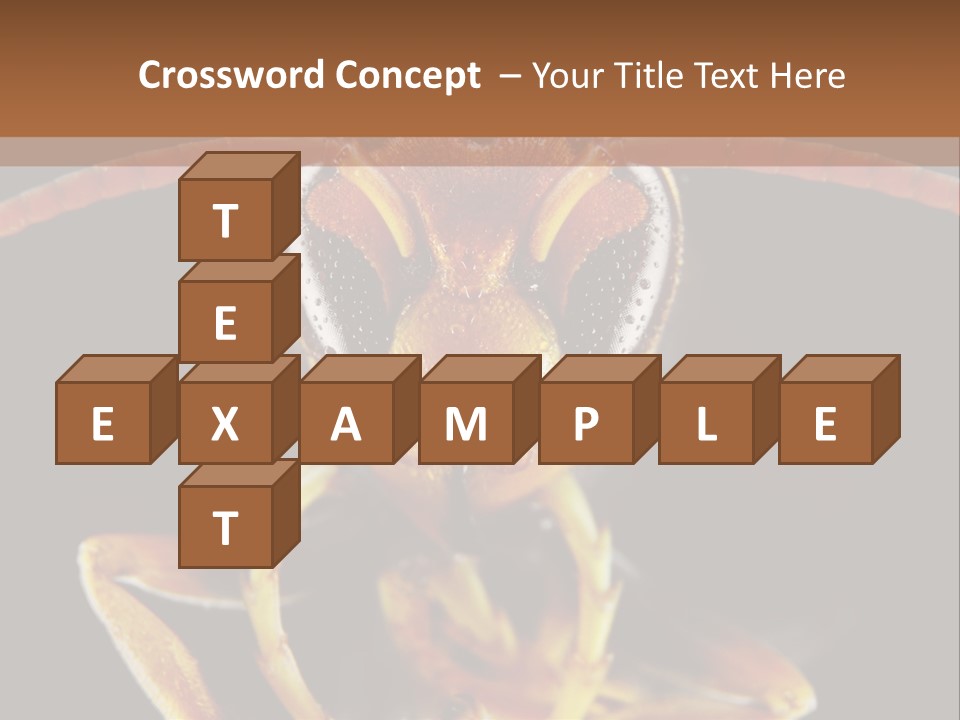 Cool Condition Home PowerPoint Template