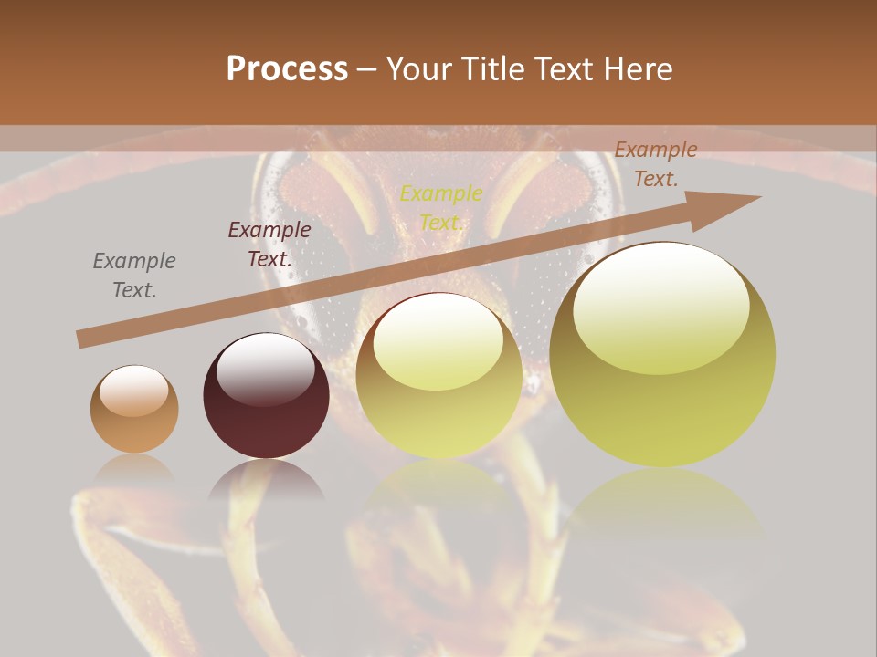 Cool Condition Home PowerPoint Template