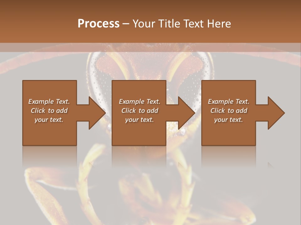Cool Condition Home PowerPoint Template