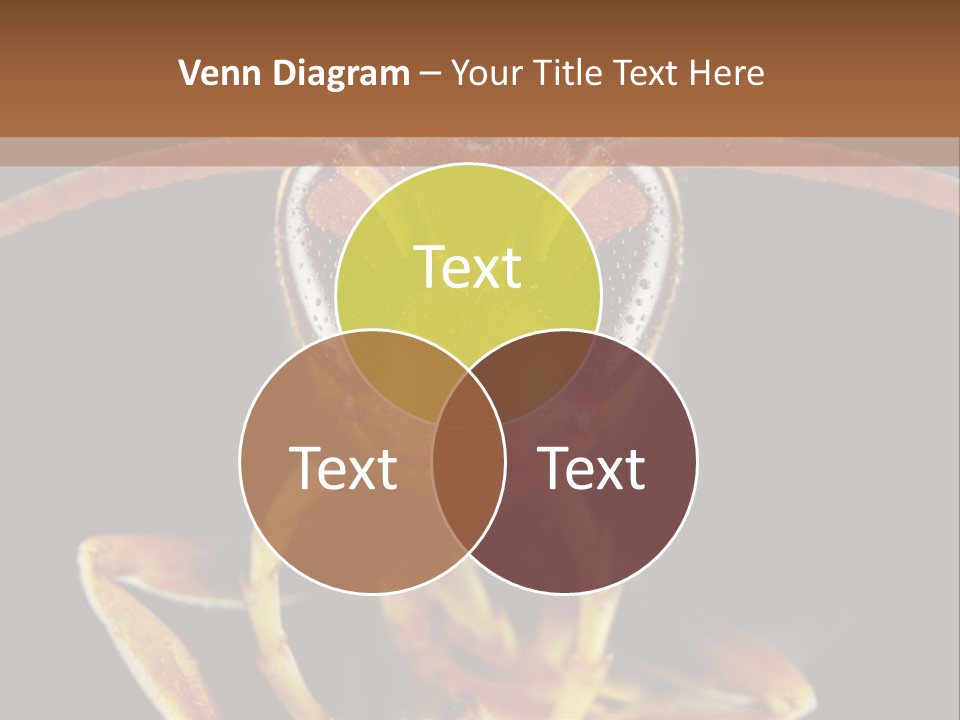 Cool Condition Home PowerPoint Template