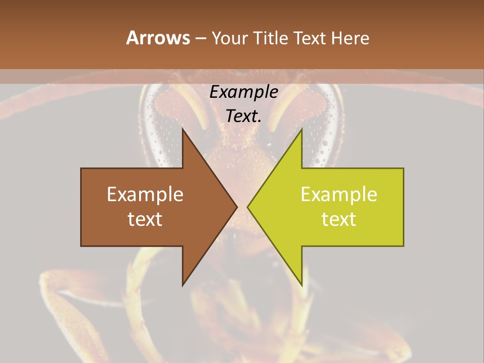 Cool Condition Home PowerPoint Template