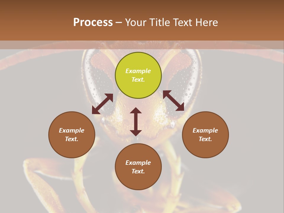 Cool Condition Home PowerPoint Template