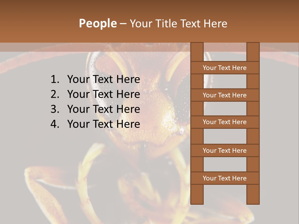 Cool Condition Home PowerPoint Template