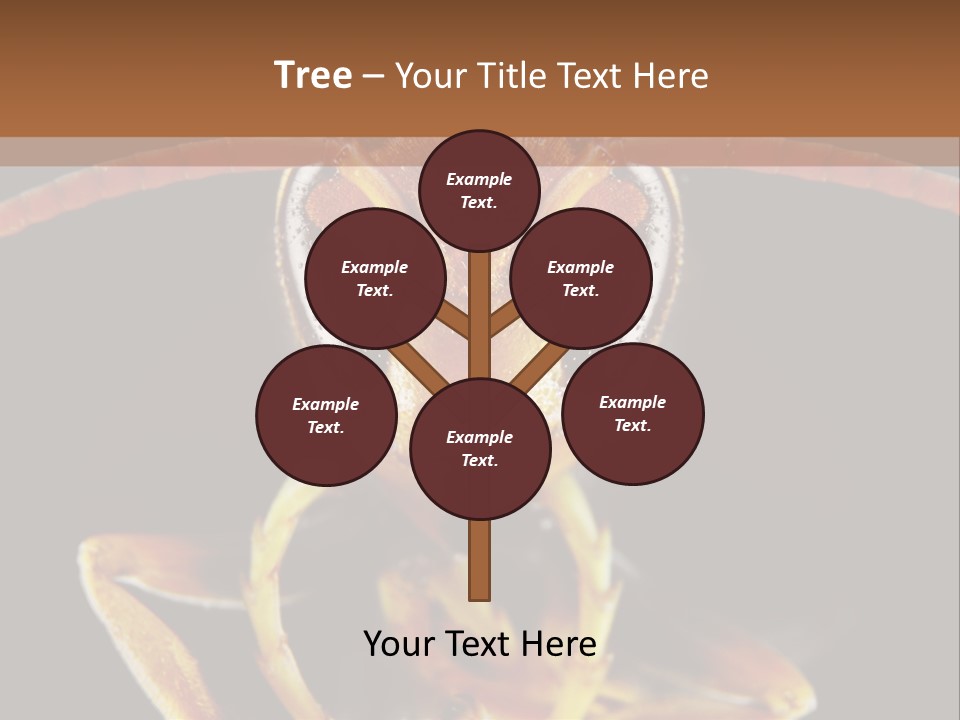 Cool Condition Home PowerPoint Template