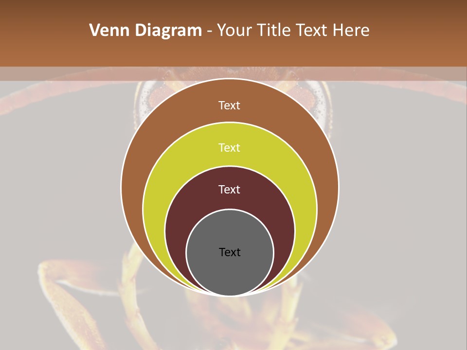 Cool Condition Home PowerPoint Template