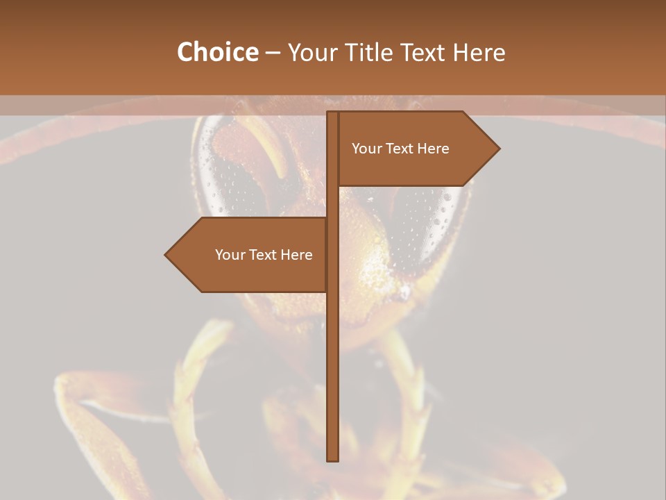 Cool Condition Home PowerPoint Template
