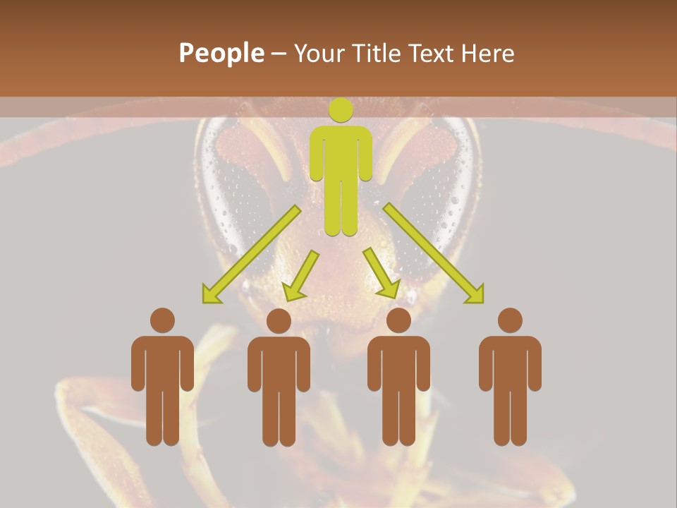 Cool Condition Home PowerPoint Template