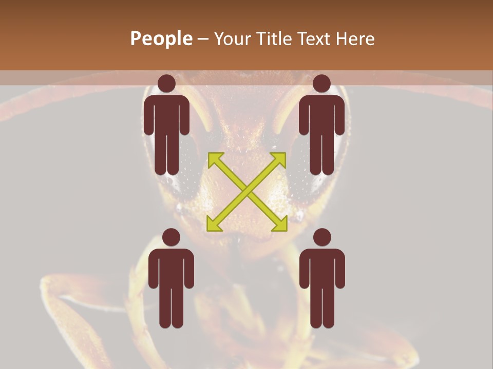 Cool Condition Home PowerPoint Template