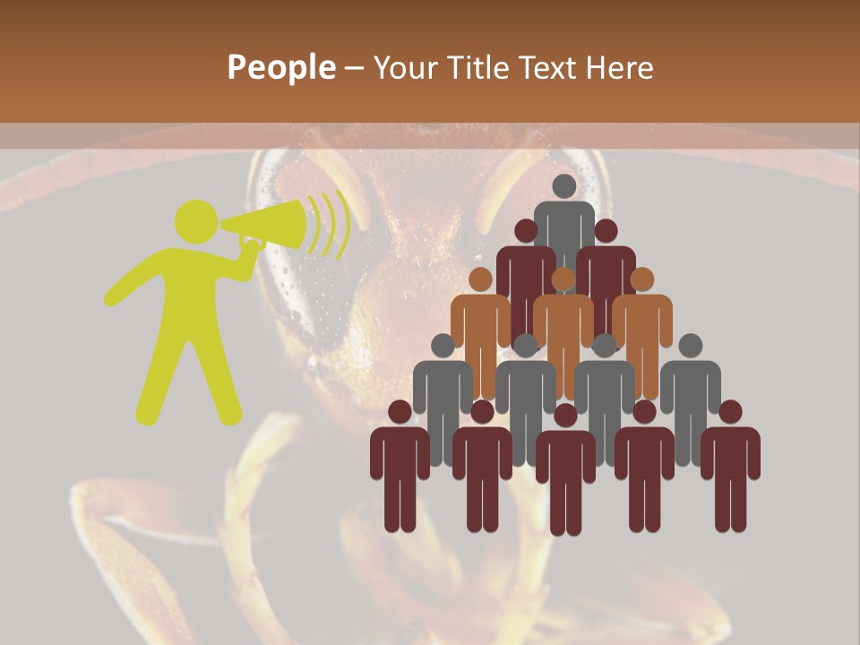 Cool Condition Home PowerPoint Template