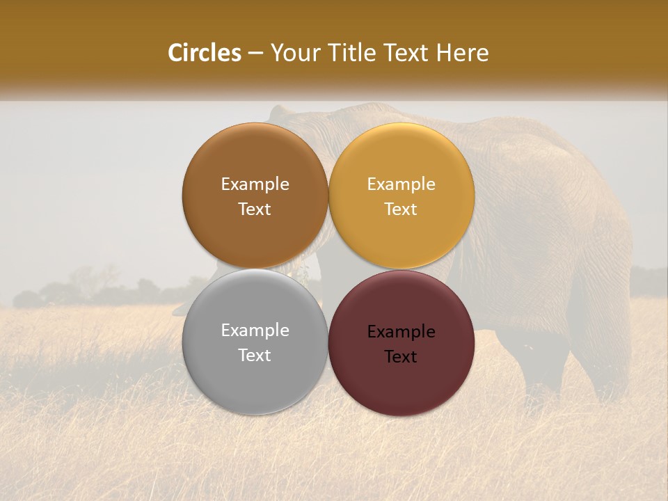 Air Conditioner Switch PowerPoint Template