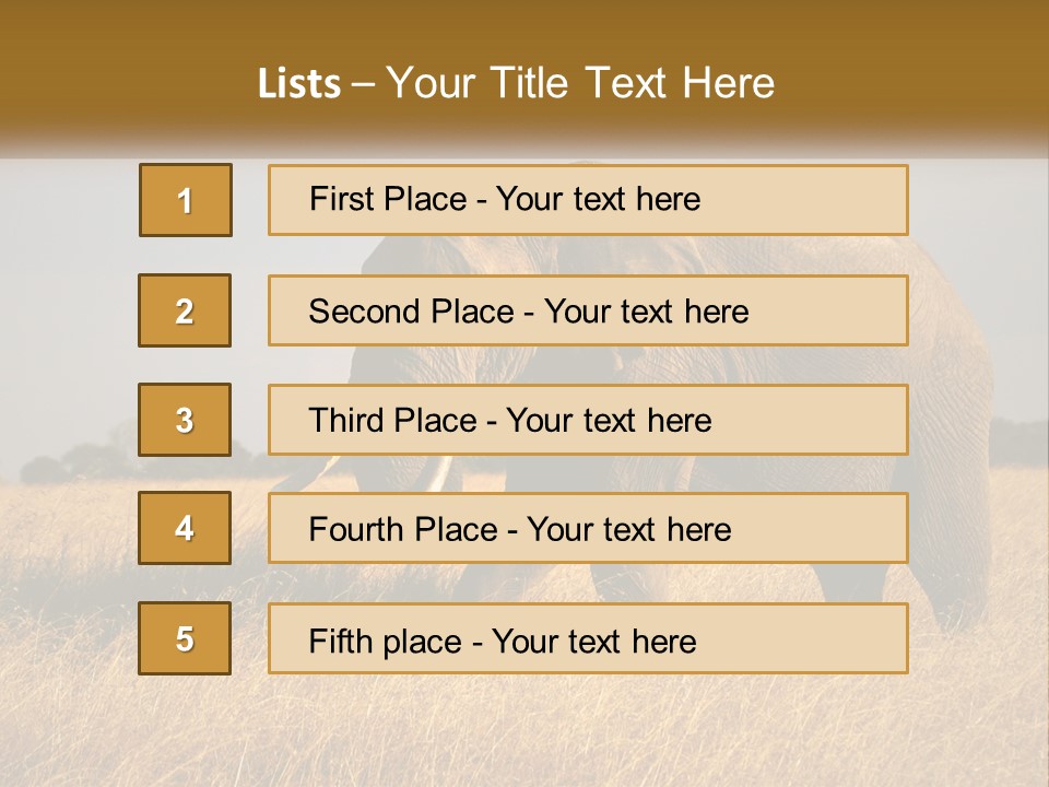Air Conditioner Switch PowerPoint Template