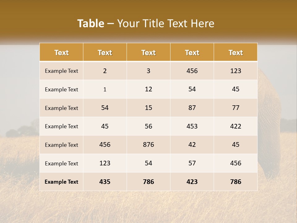 Air Conditioner Switch PowerPoint Template