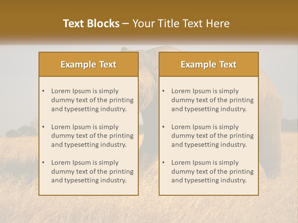 Air Conditioner Switch PowerPoint Template